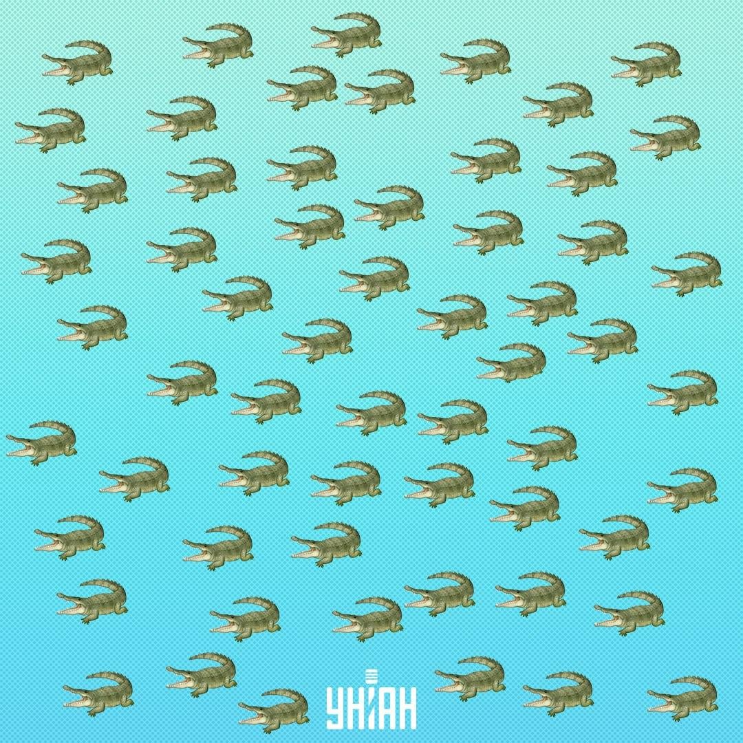 Roplys pasislėpė, bet jį reikia pamatyti per 15 sekundžių / Moje koliažas