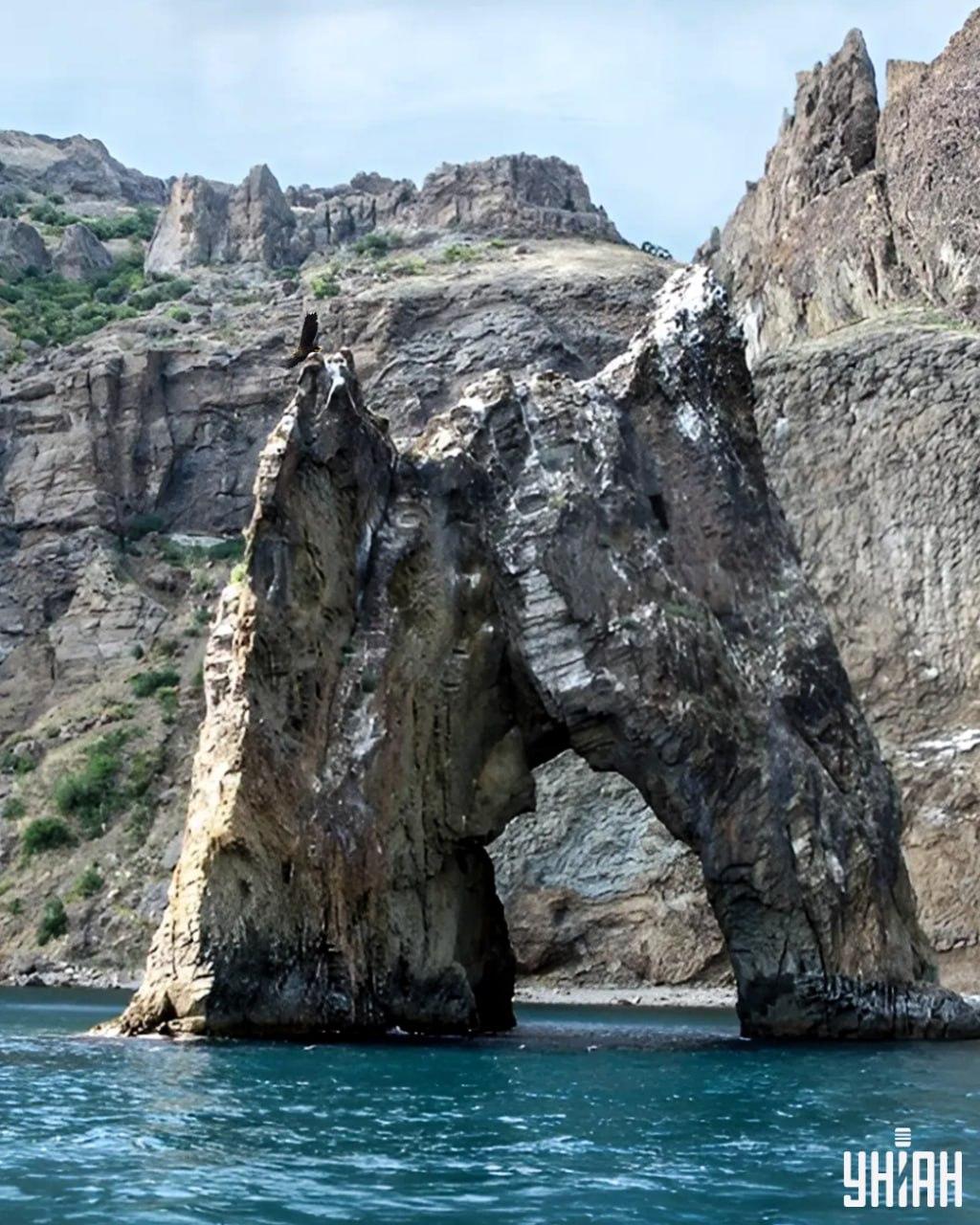 Mįslės paveikslėlyje reikia rasti erelį greičiau nei per 10 sekundžių / koliažas su nuotraukomis Moje