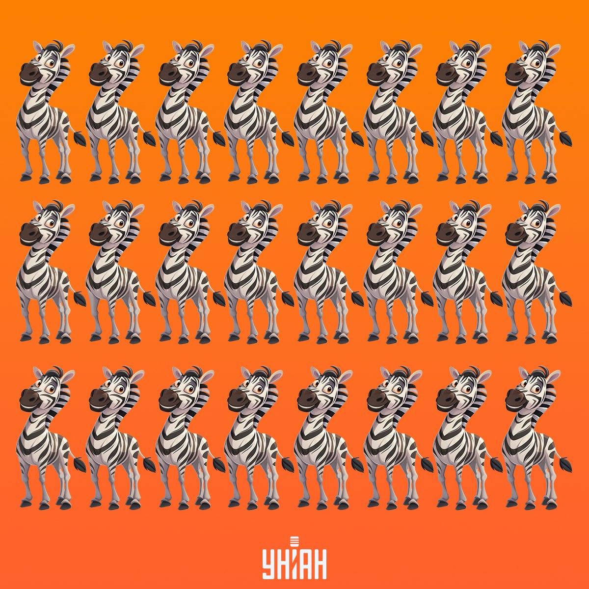 Turime laiku rasti zebrą, kuris nepanašus į kitus / Moje koliažas