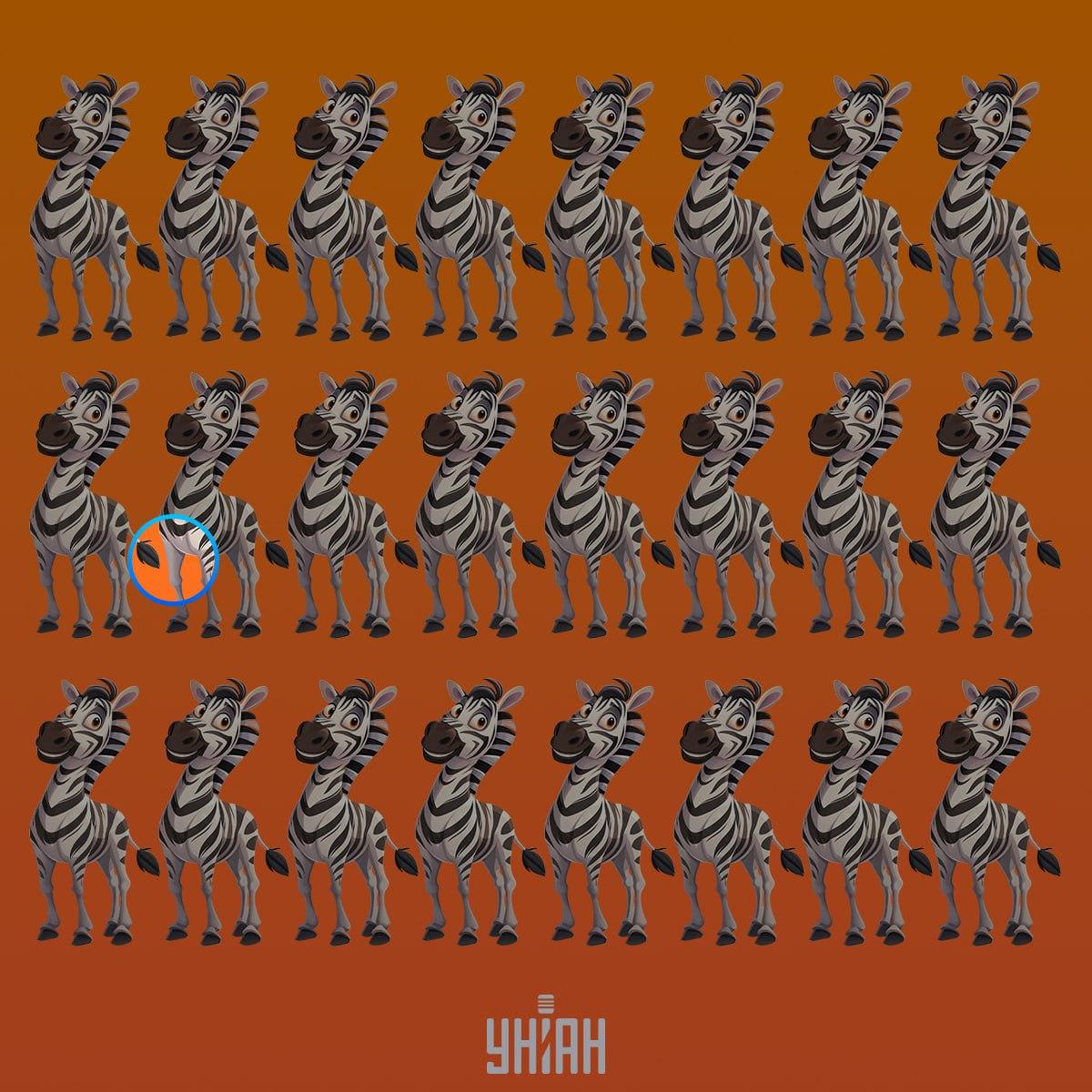 Keistas zebras buvo antroje eilutėje nuo viršaus / Moje koliažas