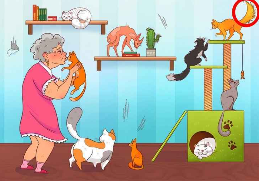 nuotrauka Brightside