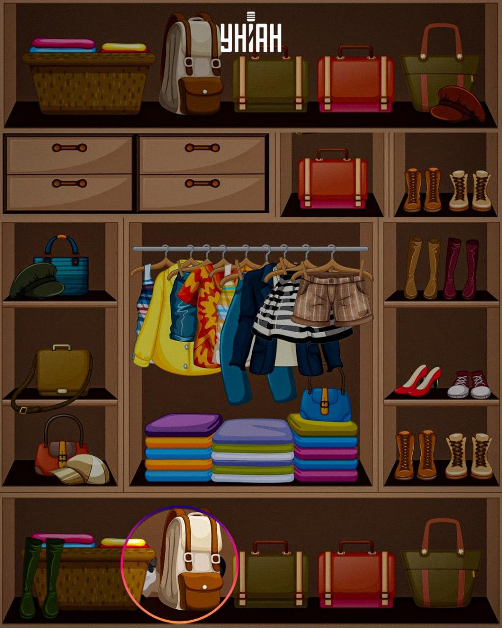 Vaizdo / koliažo Moje apačioje buvo padėtas gudrus gyvūnas