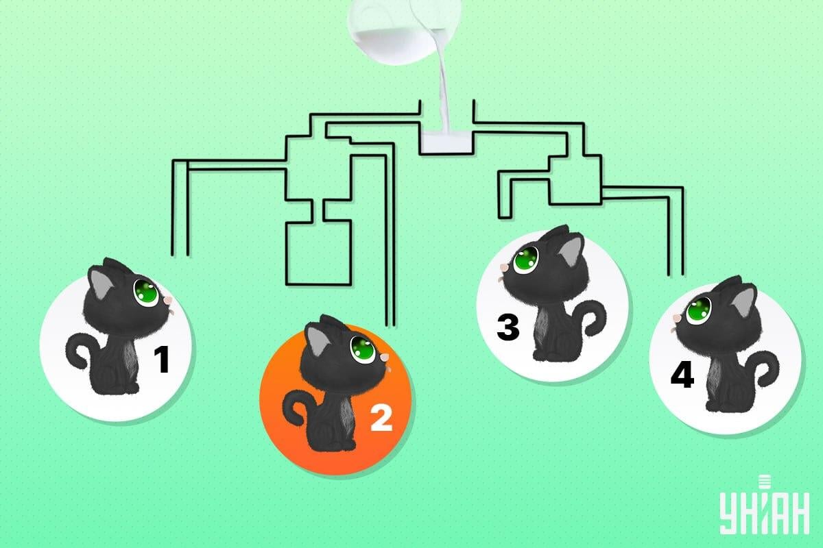 Laimingas katinas buvo numeris 2 / koliažas Moje