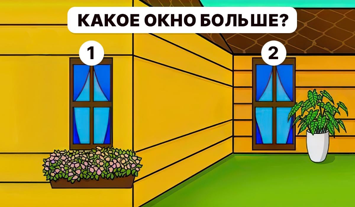 Turime suprasti, kuris langas yra didesnis / Moje koliažas