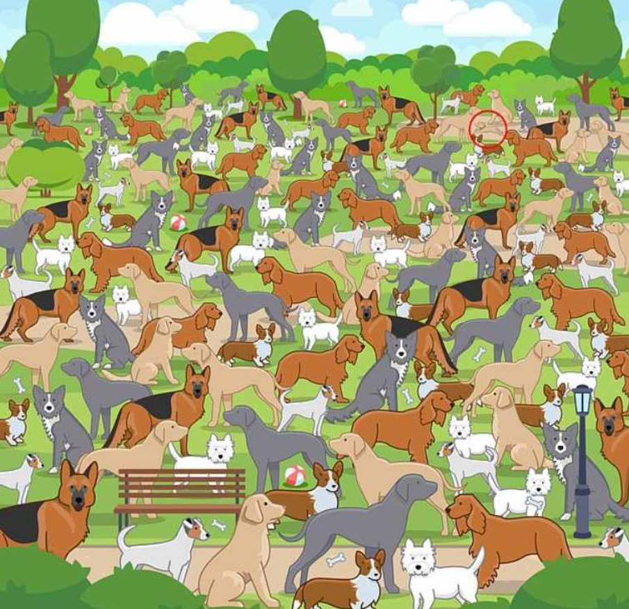 nuotrauka Jagranjosh