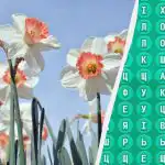 98% žmonių negali rasti žodžio „pavasaris“ per 10 sekundžių: stebėtinai