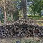 Galvosūkis linksmiausiems ir išradingiausiems: katę reikia surasti per 7 sekundes Galvosūkis linksmiausiems ir išradingiausiems: katę reikia surasti per 7 sekundes