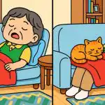 Genialumo testas: pabandykite per 23 sekundes rasti 3 paveikslo skirtumus