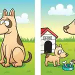 IQ testas: raskite 5 skirtumus šuns ir šuniuko paveikslėlyje per 45 sekundes IQ testas: raskite 5 skirtumus šuns ir šuniuko paveikslėlyje per