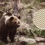 Jūs turite rasti lokį per 11 sekundžių: optinė apgaulė dėmesingiausiems: