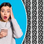 Kur paslėpti 86 ir 35: tik dėmesingiausi skaičius ras per