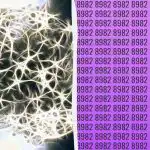 Paprastas IQ testas: raskite nelyginį skaičių per 9 sekundes