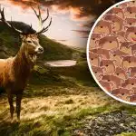 Su tuo gali susidoroti tik žmonės, turintys aukštą IQ: tarp