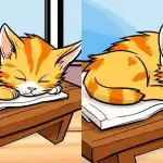 Tik dėmesingiausi paveikslėlyje su kate per 12 sekundžių ras 3