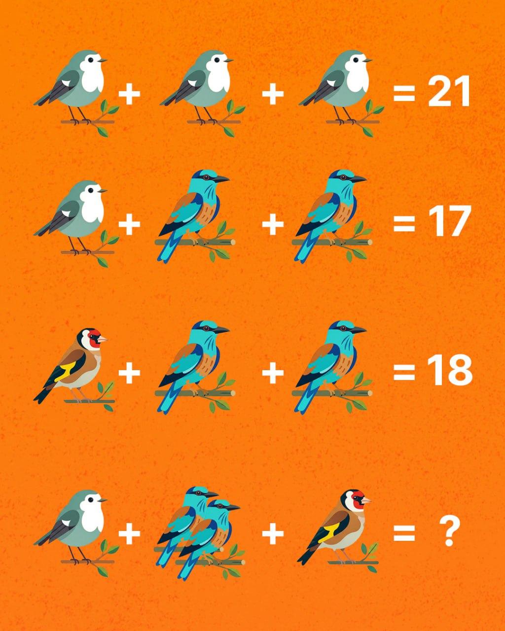 Tik genijus gali suskaičiuoti visus paukščius: stebėtinai sunkus galvosūkis