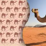 Tik šiuolaikinis „Šerlokas Holmsas“ ras keistą kupranugarį: mįslę išmanausiems