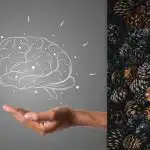 Visi mato nelygumus, bet ežiuką reikia rasti per 7 sekundes: